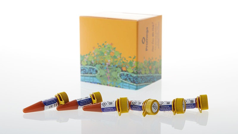 N2584_NanoBRET--Nano-Glo- -Kinetic-Detection-System_3